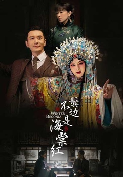 Зимняя бегония картинка / постер